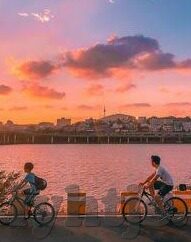 91大象传媒视频-91大象传媒视频，网络时代下的文化与伦理边界探讨