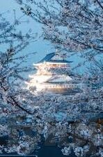 成人学院视频-成人学院视频，学习新知，重塑未来的桥梁
