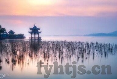 大象传媒网址大全-探索大象传媒网址大全，一站式信息获取的便捷平台