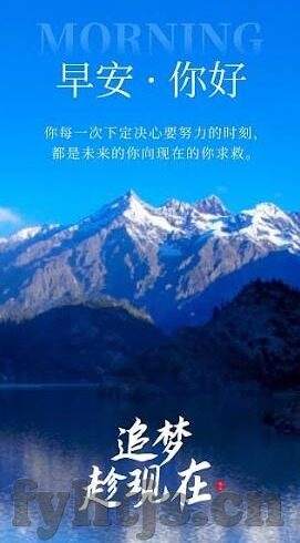 大象传媒赵艺-探索大象传媒赵艺，创意与责任的交响曲