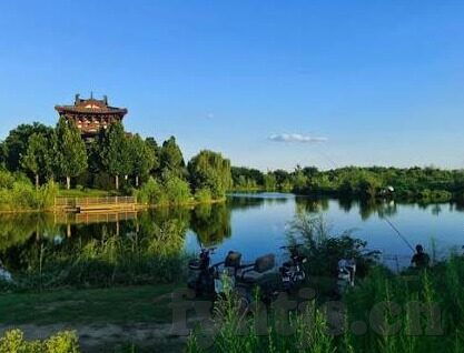欧美成人在线直接看视频网站-欧美成人在线视频网站的多元探索与选择