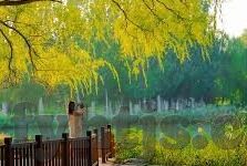 日韩精品一区二区亚洲av免费在线观看-探索成人娱乐的多元世界，日韩精品一区二区与亚洲AV的免费在线观看