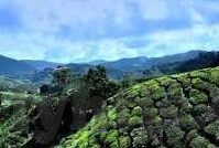 糖心vlog下载导航-精彩在线，解锁糖心vlog下载的独特导航之旅