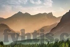 糖心vlog邀请码-探索兴趣世界，糖心Vlog的精彩之旅