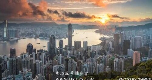 vlog糖心官网版app下-探秘Vlog糖心，一站式Vlog创作与分享的新时代